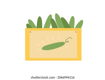 Vector box with cucumbers in flat style, sale of fresh farm vegetables, illustration for vegetable shop, shop isolated on white background