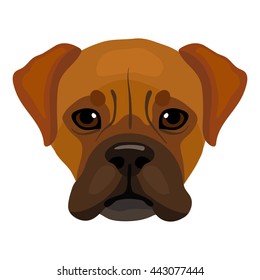 Boxer Dog Cartoon Images, Stock Photos & Vectors | Shutterstock