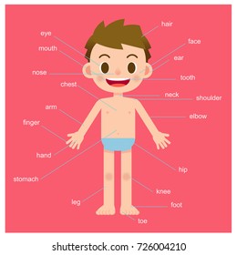 Vector boy character showing parts of the body with vocabulary on pink background.