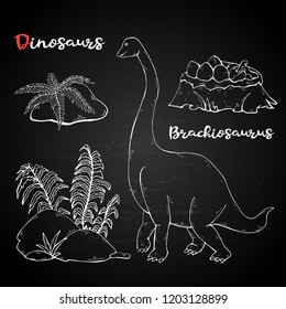 Vector Brachiosaurus with plant and stone on chalk blackboard.Jurassic Wildlife.Wild animals dinosaurus. Ancient animal character.Wild creatures of the Jurassic period.White dinosaurus silhouette.