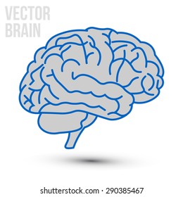 Vector brain