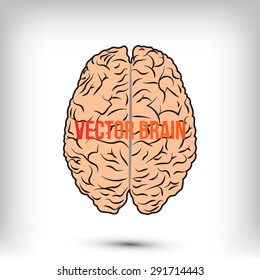 Vector Brain