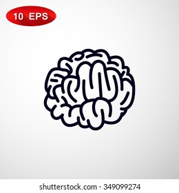 Vector Brain Icon