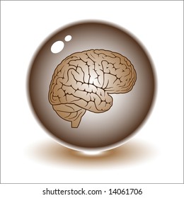 Vector brain illustration. Simply change. Other medical vectors you can see in my portfolio.