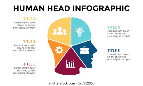 Vector brain infographic. Template for human head diagram, knowledge graph, neural network presentation and face chart. Business idea concept with 5 options, parts, steps. Brainstorming.