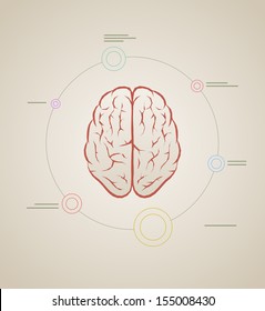 Vector Brain Inforaphic Template. Elements Are Layered Separately In Vector File. 