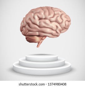 vector brain on top of pedestal on white background