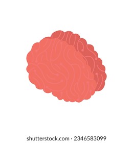 Ilustración conceptual de órganos cerebrales vectoriales en fondo blanco.