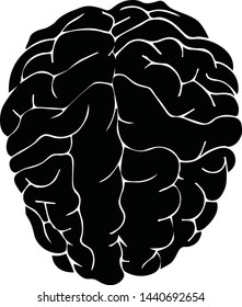 Vector of brain seen from above