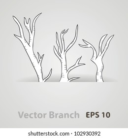Vector branch
