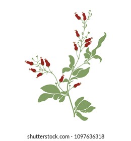 Vector branch with berries. Can be used as romantic background for web pages, wedding invitations, greeting cards, postcards, textile design, packaging design, prints, patterns, posters, tatoo.