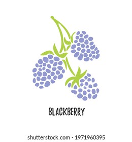 Vector. Branch Blackberry Fruit. Isolated Modern Sweet Berry. Graphic Drawing Icon, Pictogram. Vegetarian Hand Draw Plant