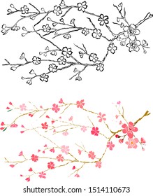 Vector branch of cherry blossom oriental sketch. Peach flower and sakura set.