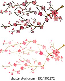 Vector branch of cherry blossom oriental sketch.Realistic illustration on isolated background.Peach flower and sakura set.Free hand apple floral.