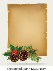 Vector branch of Christmas tree with pine cone and old paper scroll