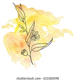 vector branch of eucalyptus at watercolor background, hand drawn medical herb, line drawing plant, isolated floral element