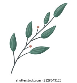 Vector branch with green leaves and berries isolated on white.