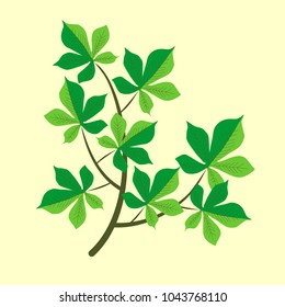Vector branch with green leaves. Branch with leaves vector illustration.