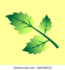 Vector branch with green leaves. Branch with leaves vector illustration.