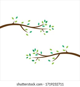 Vector branch , Hand drawn illustration of tree branch design template