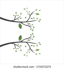 Vector branch , Hand drawn illustration of tree branch design template