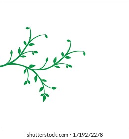 Vector branch , Hand drawn illustration of tree branch design template