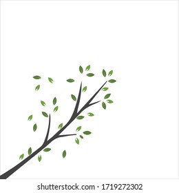 Vector branch , Hand drawn illustration of tree branch design template