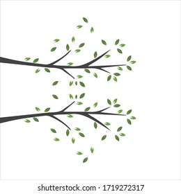 Vector branch , Hand drawn illustration of tree branch design template