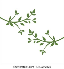 Rama vectorial , Ilustración dibujada a mano de la plantilla de diseño de rama de árbol