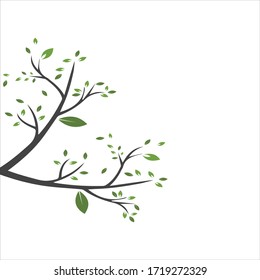 Vector branch , Hand drawn illustration of tree branch design template