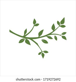 Vector branch , Hand drawn illustration of tree branch design template