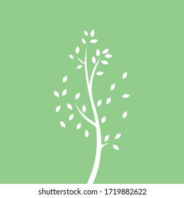 Vector branch , Hand drawn illustration of tree branch design template