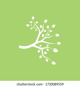 Vector branch , Hand drawn illustration of tree branch design template