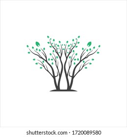 Vector branch , Hand drawn illustration of tree branch design template