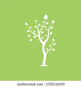 Rama vectorial , Ilustración dibujada a mano de la plantilla de diseño de rama de árbol