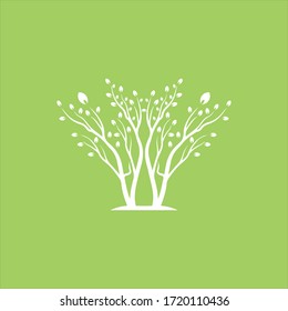Vector branch , Hand drawn illustration of tree branch design template