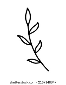 Vector branch icon. Tree branch. Contour Icon of a Tree Branch, clip art, doodle style. Hand Drawing. Floral Decorative Branch of a Plant with Leaves. Laurel