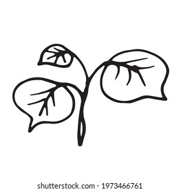 Vector branch. Illustration for postcards and invitations. Drawing for printing. Doodle.