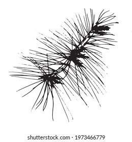 Vector branch. Illustration for postcards and invitations. Drawing for printing. Doodle.
