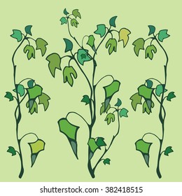 vector branch ivy 