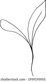 vector branch with leaves black and white. Minimalistic botanical illustration, hand drawing
