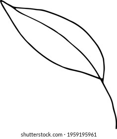 vector branch with leaves black and white. Minimalistic botanical illustration, hand drawing