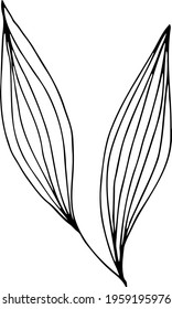 vector branch with leaves black and white. Minimalistic botanical illustration, hand drawing