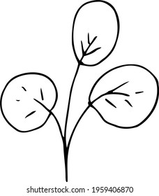 vector branch with leaves black and white. Minimalistic botanical illustration, hand drawing