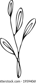vector branch with leaves black and white. Minimalistic botanical illustration, hand drawing