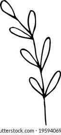 vector branch with leaves black and white. Minimalistic botanical illustration, hand drawing