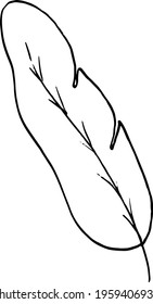vector branch with leaves black and white. Minimalistic botanical illustration, hand drawing