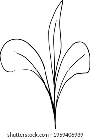 vector branch with leaves black and white. Minimalistic botanical illustration, hand drawing