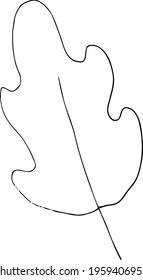 vector branch with leaves black and white. Minimalistic botanical illustration, hand drawing
