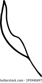 vector branch with leaves black and white. Minimalistic botanical illustration, hand drawing